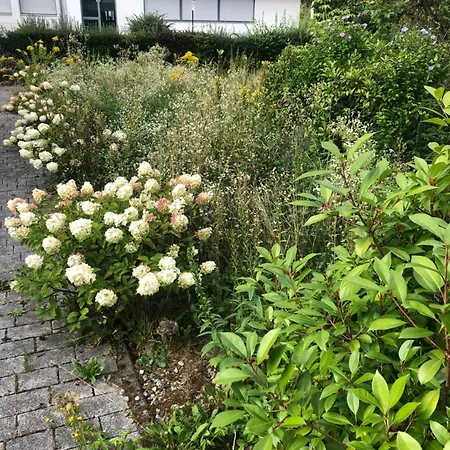 Vewoesee Lakeboarding Livello Del Giardino Apartment Velden am Woerthersee