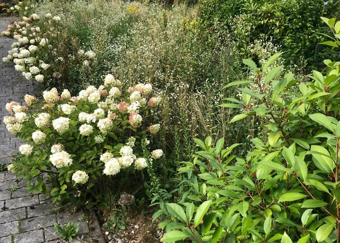 Vewoe Lakeboarding Garten דירה וולדן אם וורתרסי